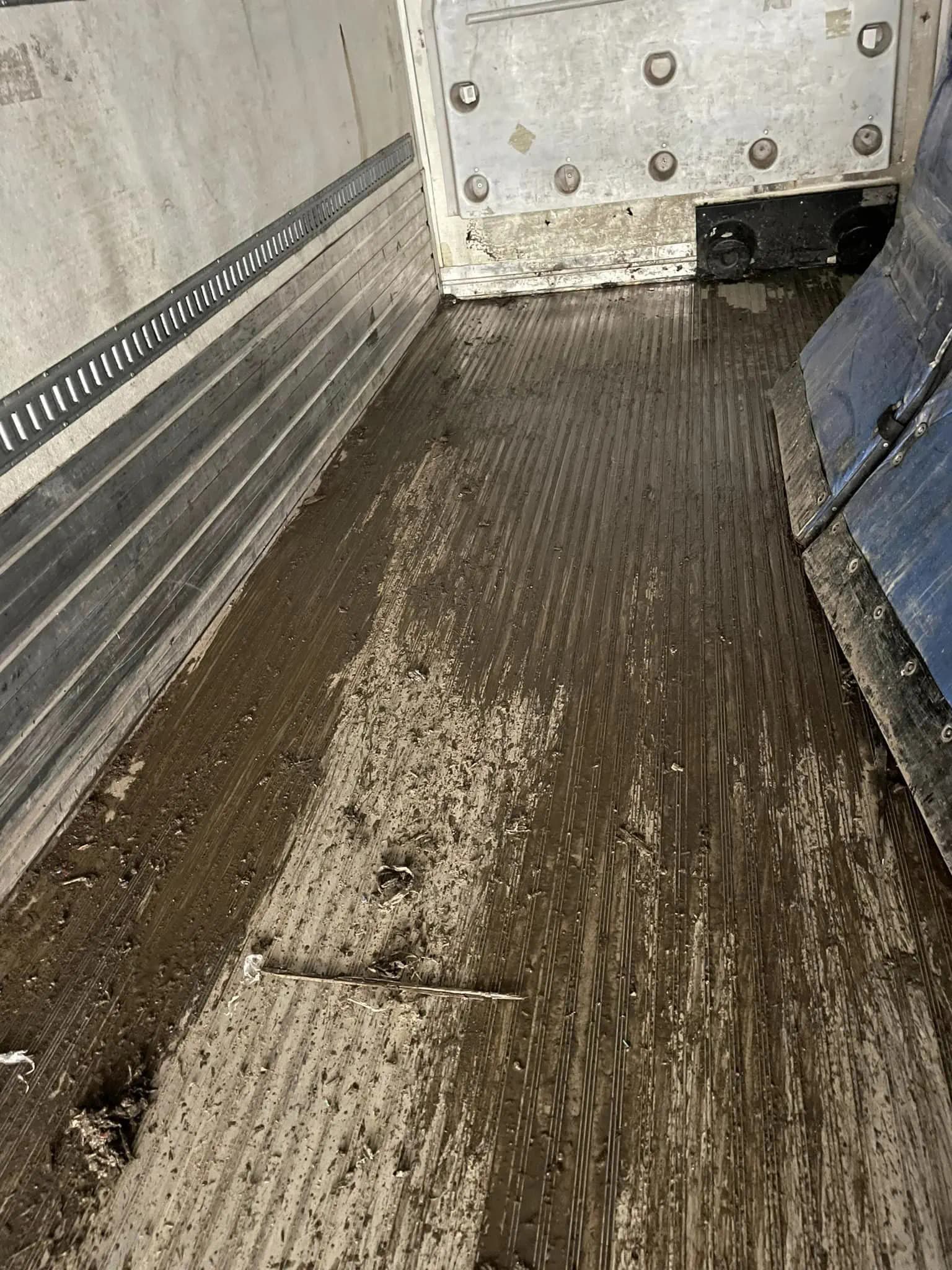 Before fleet cleaning